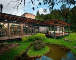 Paradis perdu au milieu de la forêt