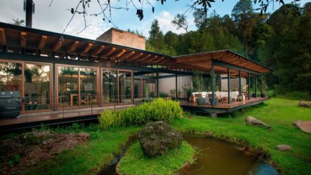 Paradis perdu au milieu de la forêt