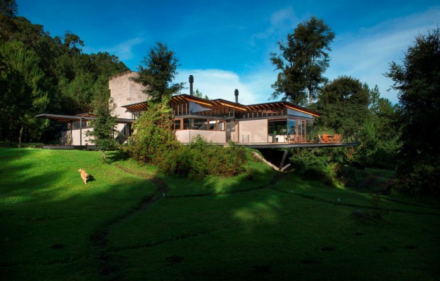 Paradis perdu au milieu de la forêt 2