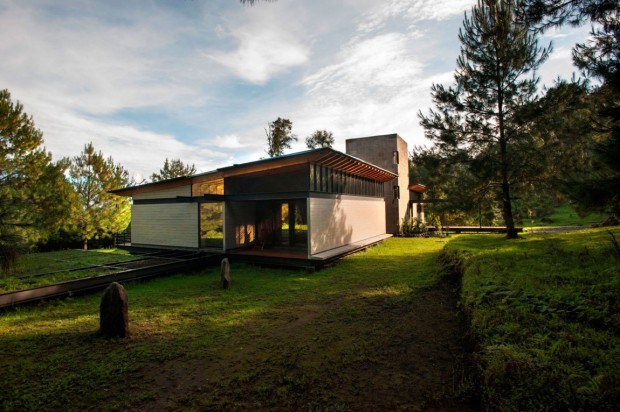 Paradis perdu au milieu de la forêt 8