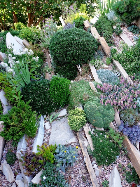 Stort blomsterbed med permanente grønne planter