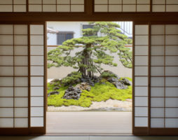 Jardin de style japonais dans le jardin européen