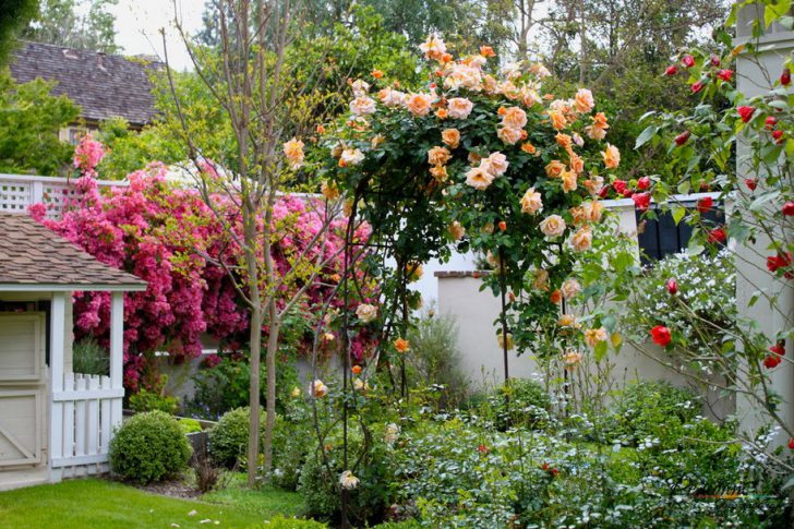 do-it-yourself front garden