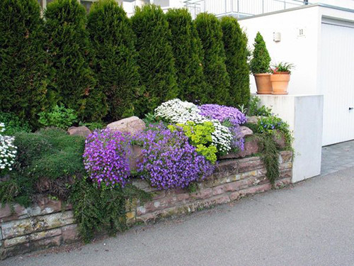 do-it-yourself front garden