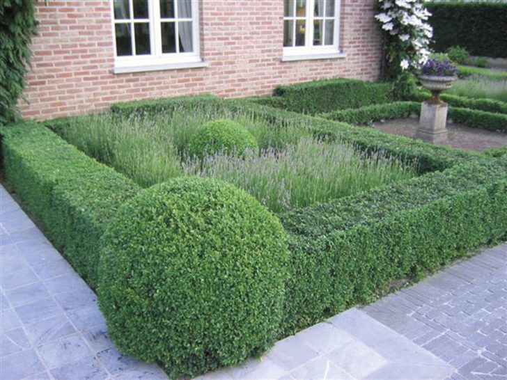 do-it-yourself front garden