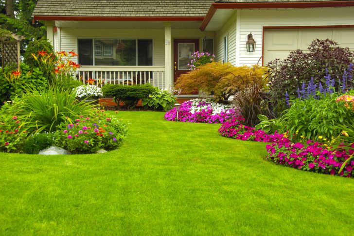 do-it-yourself front garden