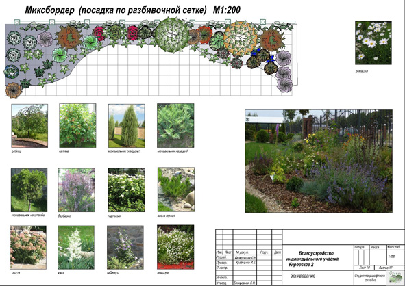 do-it-yourself front garden