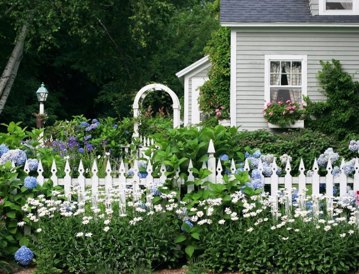 do-it-yourself front garden