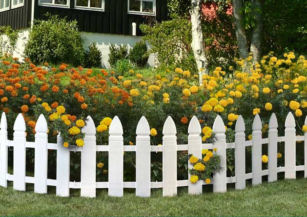 do-it-yourself front garden