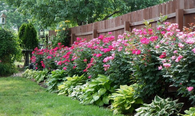 do-it-yourself front garden