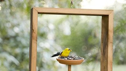 Mangeoire à oiseaux - décoration de jardin