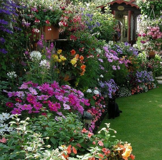 Jardin fleuri à la campagne