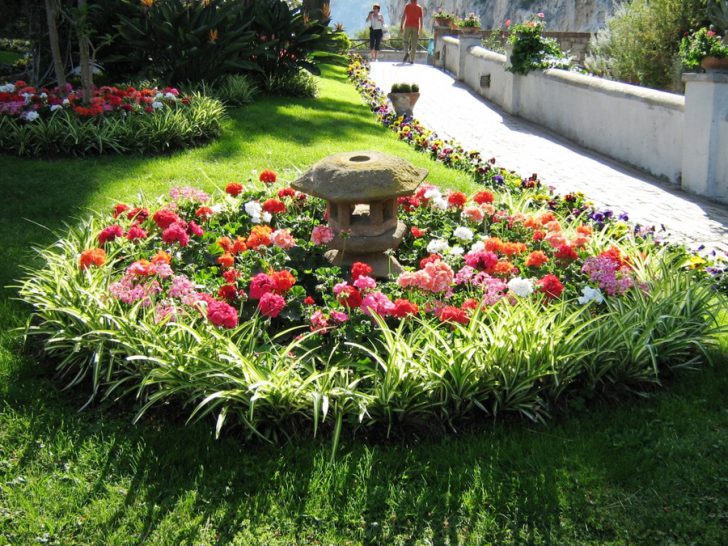 beau mini parterre de fleurs