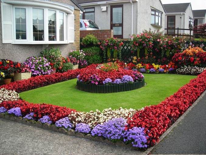 beau mini parterre de fleurs