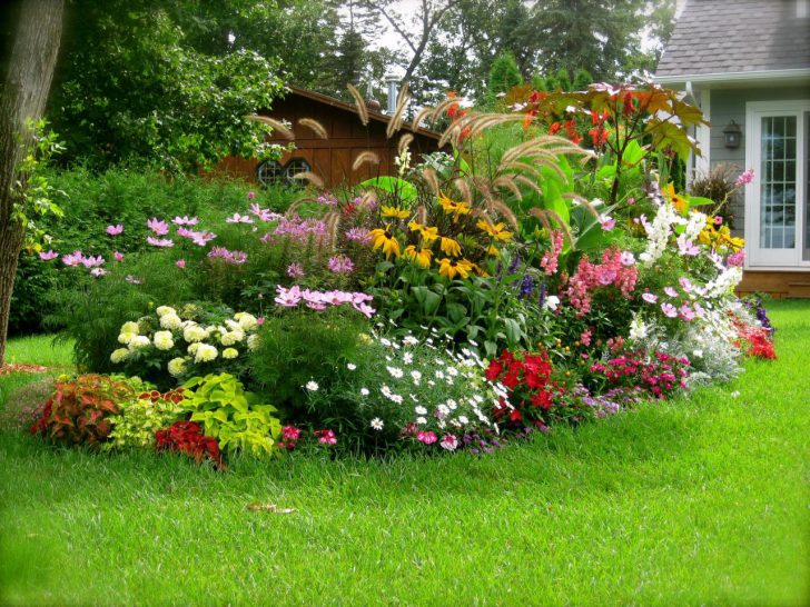 beau mini parterre de fleurs