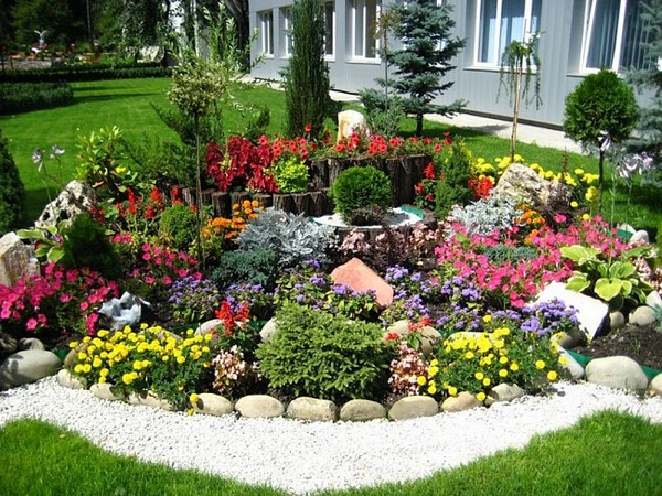 parterre de fleurs à la campagne