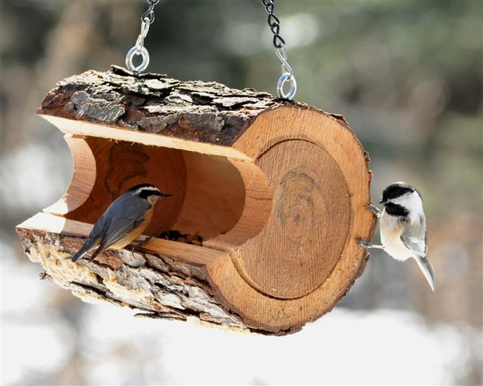 mangeoires pour oiseaux