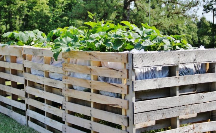 palettes dans le jardin