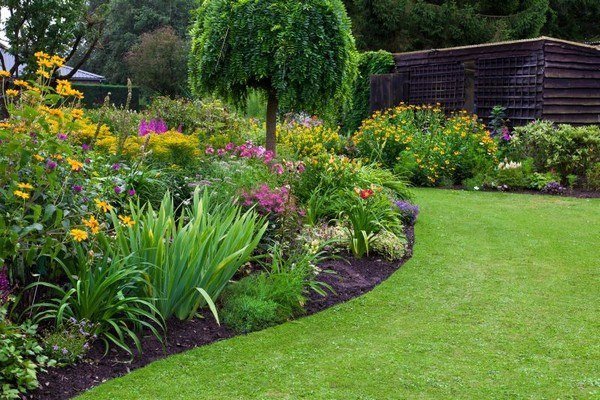 jardin fleuri à la campagne