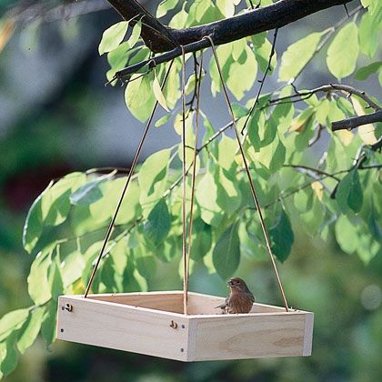 mangeoires pour oiseaux