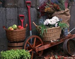 Práce na letní chatě na podzim: vše, co je třeba udělat