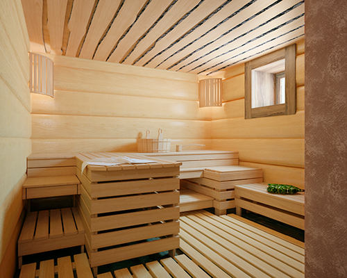 idées de sauna