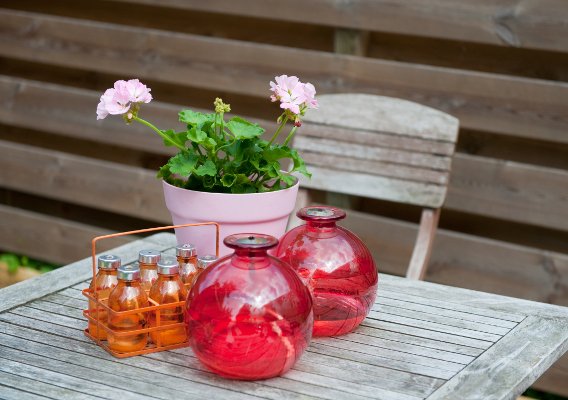 life hacks para sa mga bulaklak sa bahay