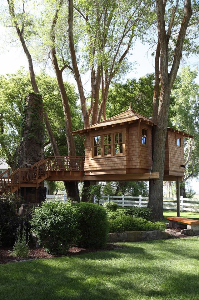 cabane dans les arbres