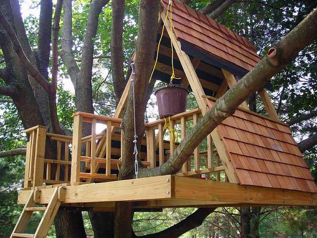 cabane dans les arbres