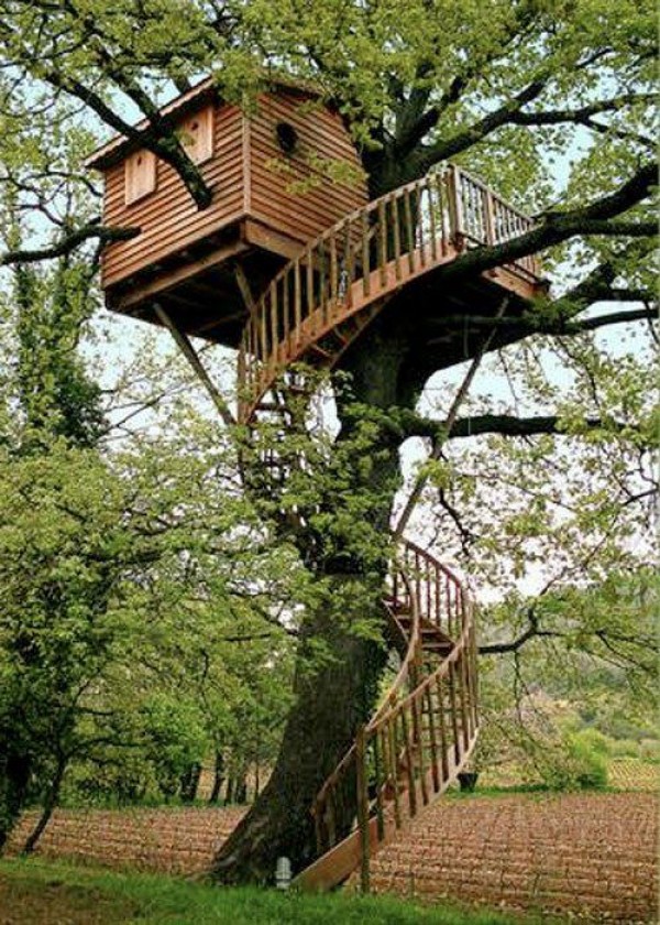 cabane dans les arbres