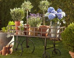 Comment décorer un jardin à leur chalet d'été