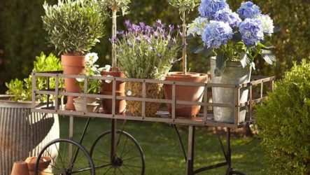 Comment décorer un jardin à leur chalet d'été