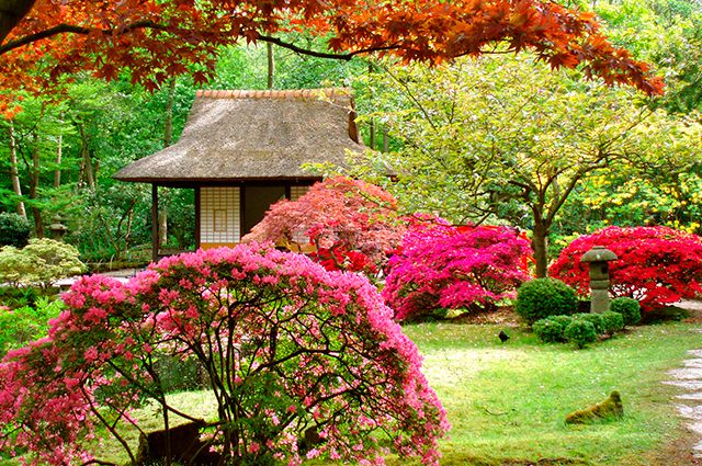 Aménagement de jardin