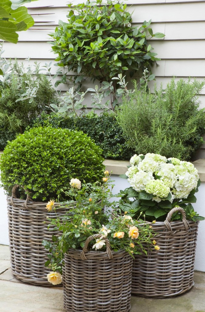 pots de fleurs en plein air