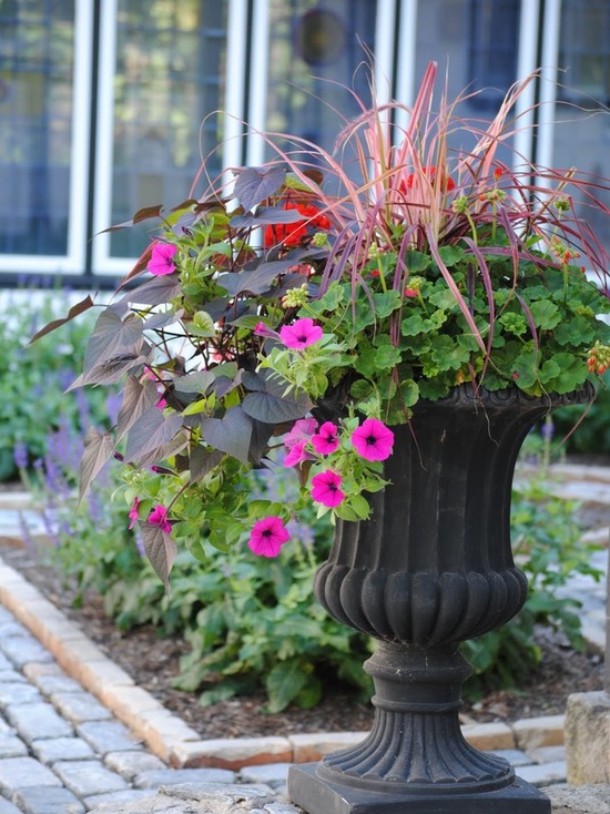 pots de fleurs en plein air