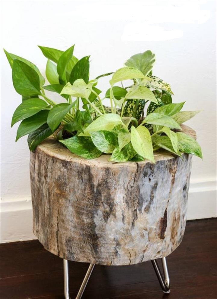 DIY flower pot