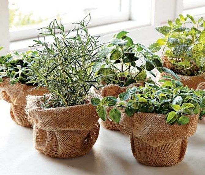 DIY flower pot