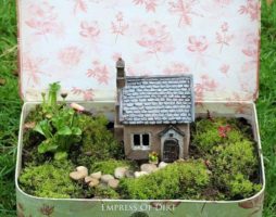 Do-it-yourself mini garden sa isang palayok na may larawan