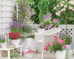 Conception décorative du chalet d'été avec des fleurs annuelles et vivaces